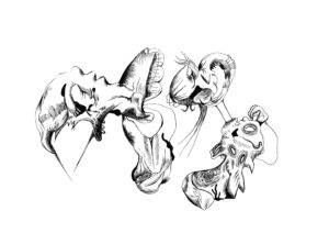 creatures.e