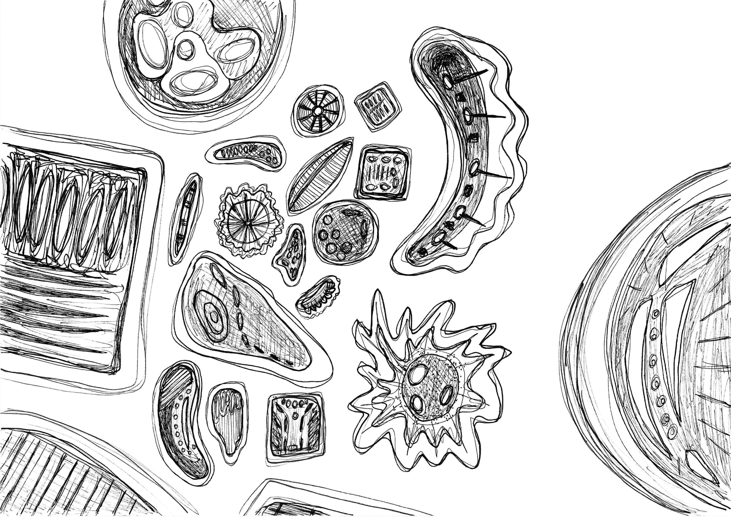 microorganisms.e